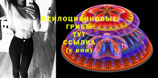 прущий лед Алзамай
