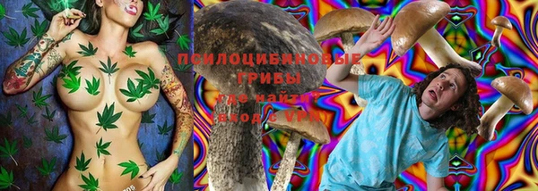 гидропоника Корсаков