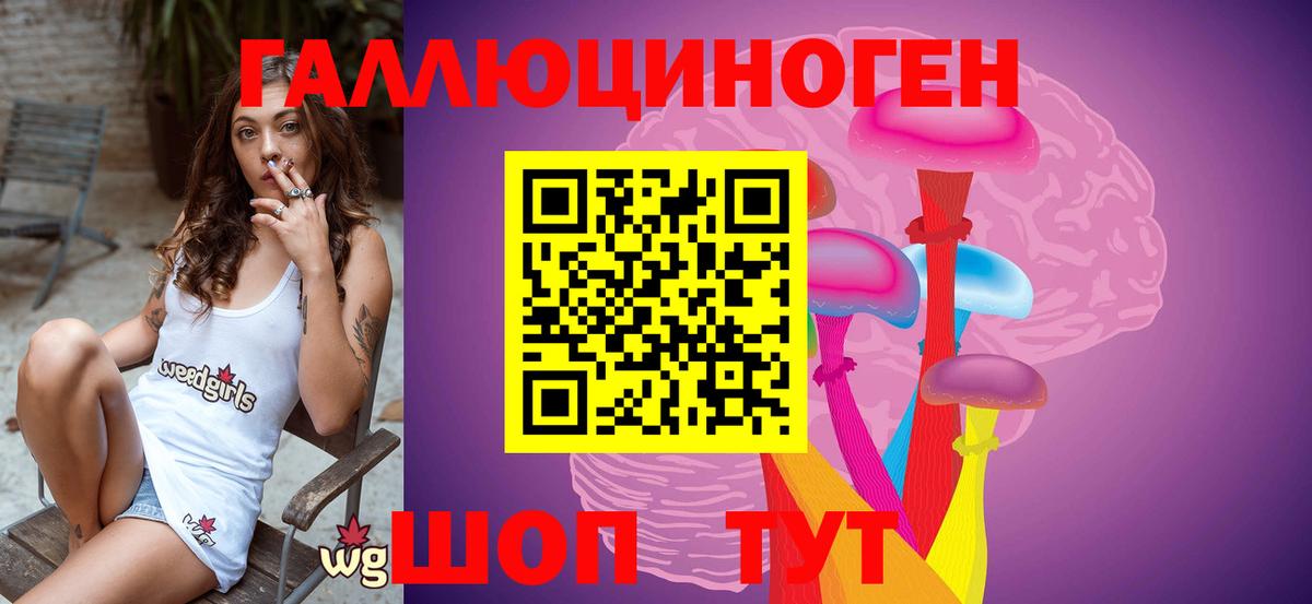 Псилоцибиновые грибы Psilocybine cubensis Тосно