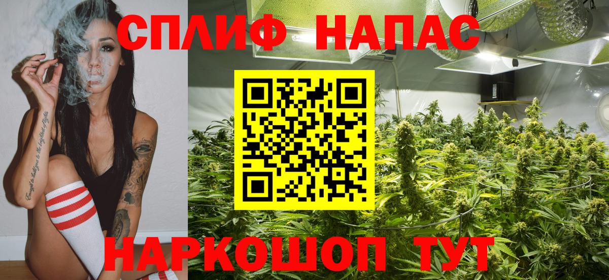 Шишки марихуана конопля  Вход с VPN  Тосно  Конопля сатива  Бошки Шишки ГИДРОПОН 
